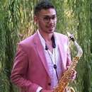 Sexophonist Playing your Tune in Toledo